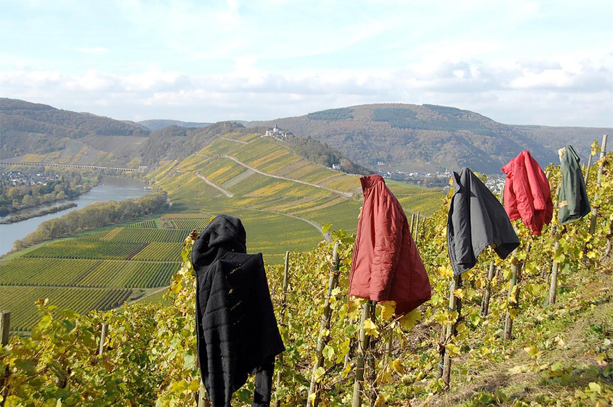 Appartamento Weingut Rosenbaum Briedel Esterno foto