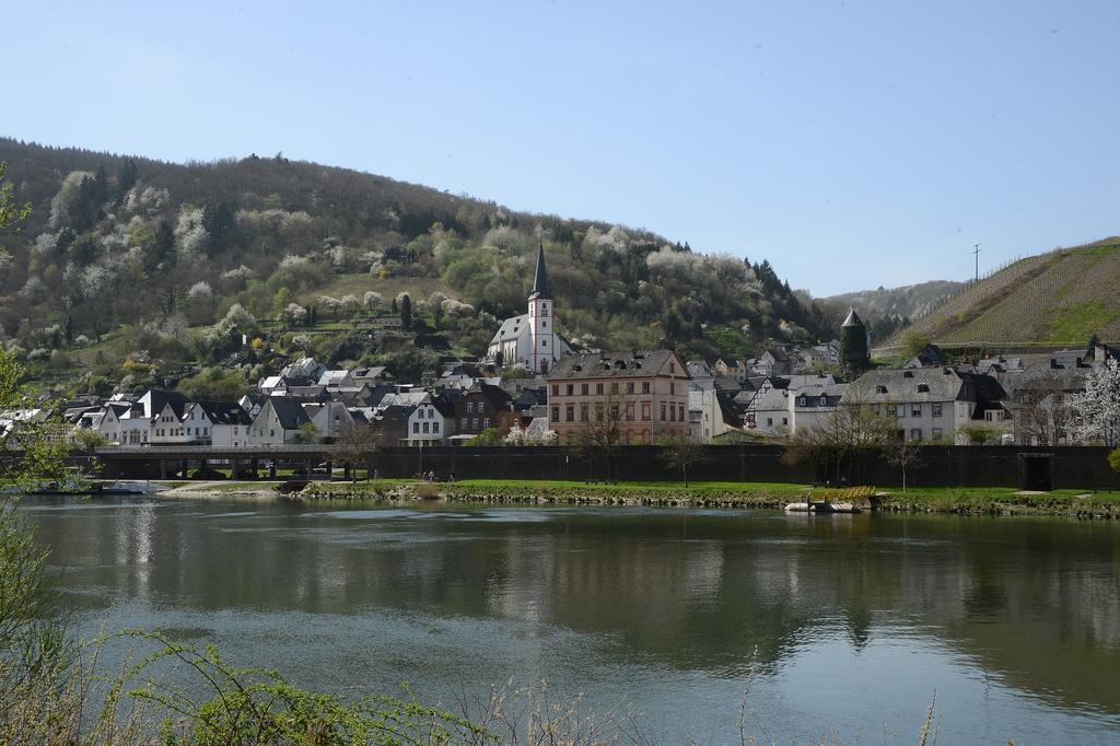 Appartamento Weingut Rosenbaum Briedel Esterno foto