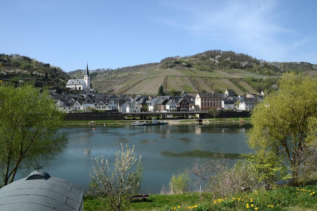 Appartamento Weingut Rosenbaum Briedel Esterno foto