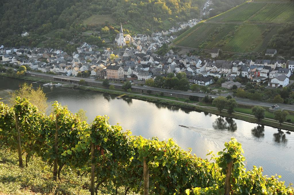 Appartamento Weingut Rosenbaum Briedel Esterno foto