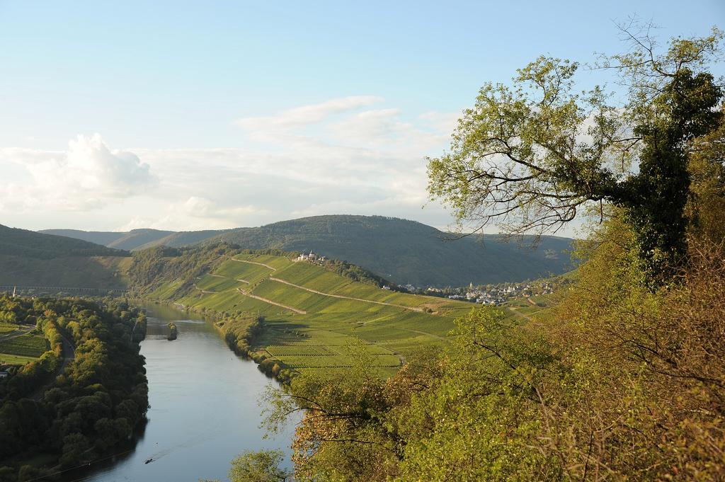 Appartamento Weingut Rosenbaum Briedel Esterno foto