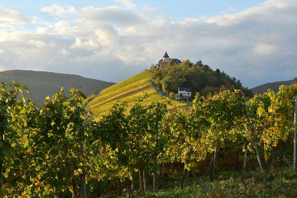 Appartamento Weingut Rosenbaum Briedel Esterno foto